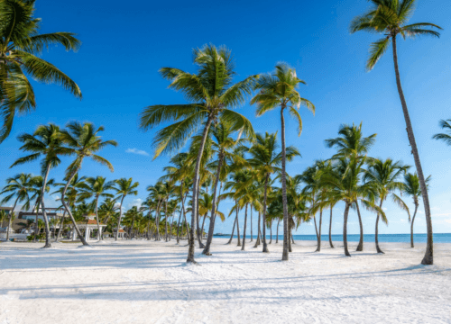 A Family-Friendly Paradise Near Your Villa